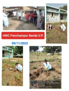 Promotion of Ayurveda in community.... Plantation in HWC Panchampur Banda.